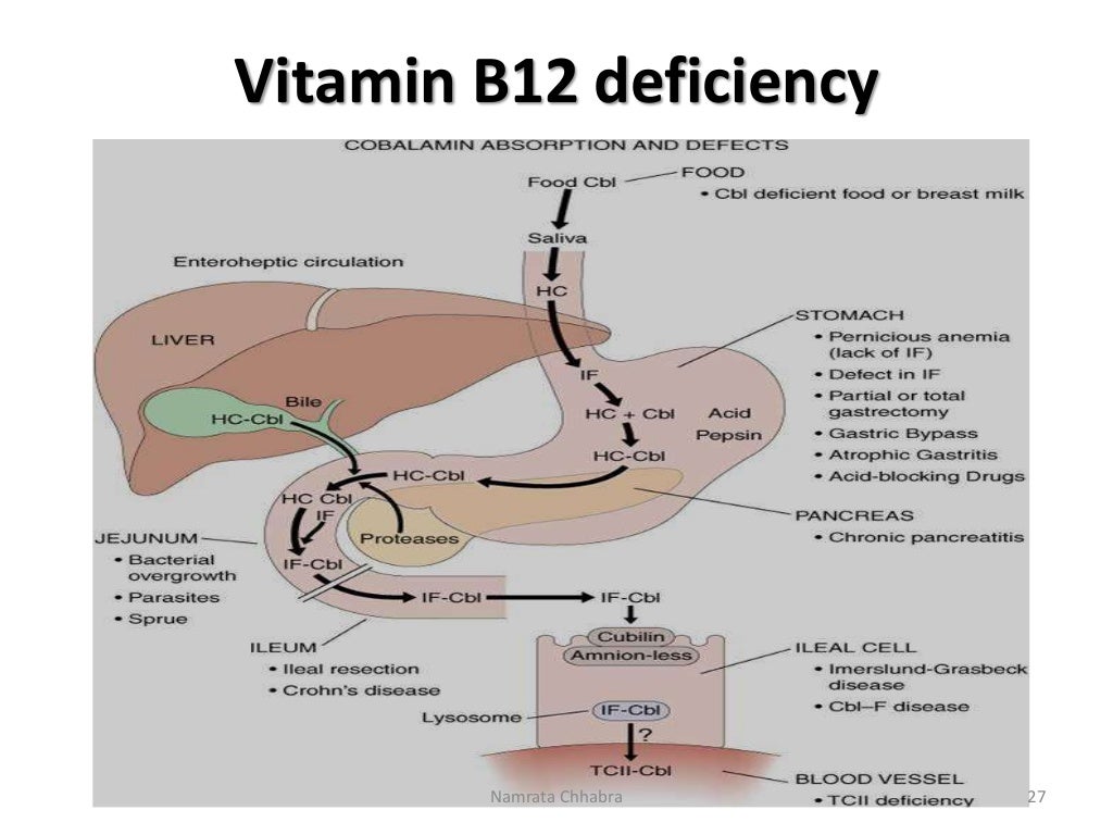 Vitamin B12 Chemistry, functions and clinical significance