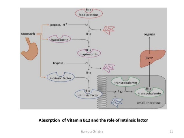 Vitamin B12 Chemistry Functions And Clinical Significance