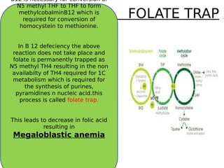 FOLATE TRAP
B12 is necessary for conversion of
N5 methyl THF to THF to form
methylcobalminB12 which is
required for conversion of
homocystein to methionine.
In B 12 defeciency the above
reaction does not take place and
folate is permanently trapped as
N5 methyl TH4 resulting in the non
availabilty of TH4 required for 1C
metabolism which is required for
the synthesis of purines,
pyramidines n nucleic acid.this
process is called folate trap.
This leads to decrease in folic acid
resulting in
Megaloblastic anemia
 