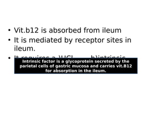 • Vit.b12 is absorbed from ileum
• It is mediated by receptor sites in
ileum.
• It requires a.)HCl b)intrinsic
factor
Intrinsic factor is a glycoprotein secreted by the
parietal cells of gastric mucosa and carries vit.B12
for absorption in the ileum.
 