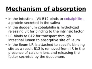 Mechanism of absorption
• In the intestine , Vit B12 binds to cobalphilin ,
a protein secreted in the saliva
• In the duodenum cobalphilin is hydrolyzed
releasing vit for binding to the intrinsic factor
• I.F. binds to B12 for transport through
intestinal lumen to absorptive site of ileum
• In the ileum I.F. is attached to specific binding
site as a result B12 is removed from I.F. in the
presence of calcium ions and releasing the
factor secreted by the duodenum.
 