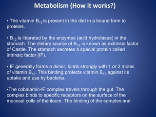 • The vitamin B12 is present in the diet in a bound form to
proteins.
• B12 is liberated by the enzymes (acid hydrolases) in the
stomach. The dietary source of B12 is known as extrinsic factor
of Castle. The stomach secretes a special protein called
intrinsic factor (IF).
• IF generally forms a dimer, binds strongly with 1 or 2 moles
of vitamin B12. This binding protects vitamin B12 against its
uptake and use by bacteria.
•The cobalamin-lF complex travels through the gut. The
complex binds to specific receptors on the surface of the
mucosal cells of the ileum. The binding of the complex and
Metabolism (How it works?)
 