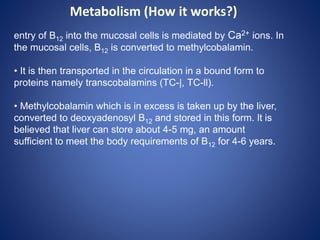 entry of B12 into the mucosal cells is mediated by Ca2+ ions. In
the mucosal cells, B12 is converted to methylcobalamin.
• It is then transported in the circulation in a bound form to
proteins namely transcobalamins (TC-|, TC-ll).
• Methylcobalamin which is in excess is taken up by the liver,
converted to deoxyadenosyl B12 and stored in this form. lt is
believed that liver can store about 4-5 mg, an amount
sufficient to meet the body requirements of B12 for 4-6 years.
Metabolism (How it works?)
 