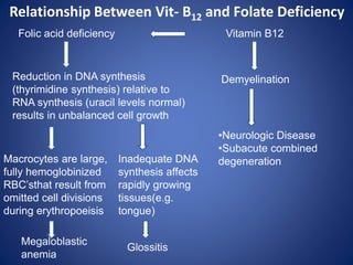 Folic acid deficiency Vitamin B12
Relationship Between Vit- B12 and Folate Deficiency
Demyelination
•Neurologic Disease
•Subacute combined
degeneration
Reduction in DNA synthesis
(thyrimidine synthesis) relative to
RNA synthesis (uracil levels normal)
results in unbalanced cell growth
Macrocytes are large,
fully hemoglobinized
RBC’sthat result from
omitted cell divisions
during erythropoeisis
Inadequate DNA
synthesis affects
rapidly growing
tissues(e.g.
tongue)
Megaloblastic
anemia
Glossitis
 