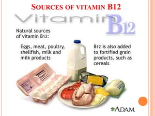 SOURCES OF VITAMIN B12
 