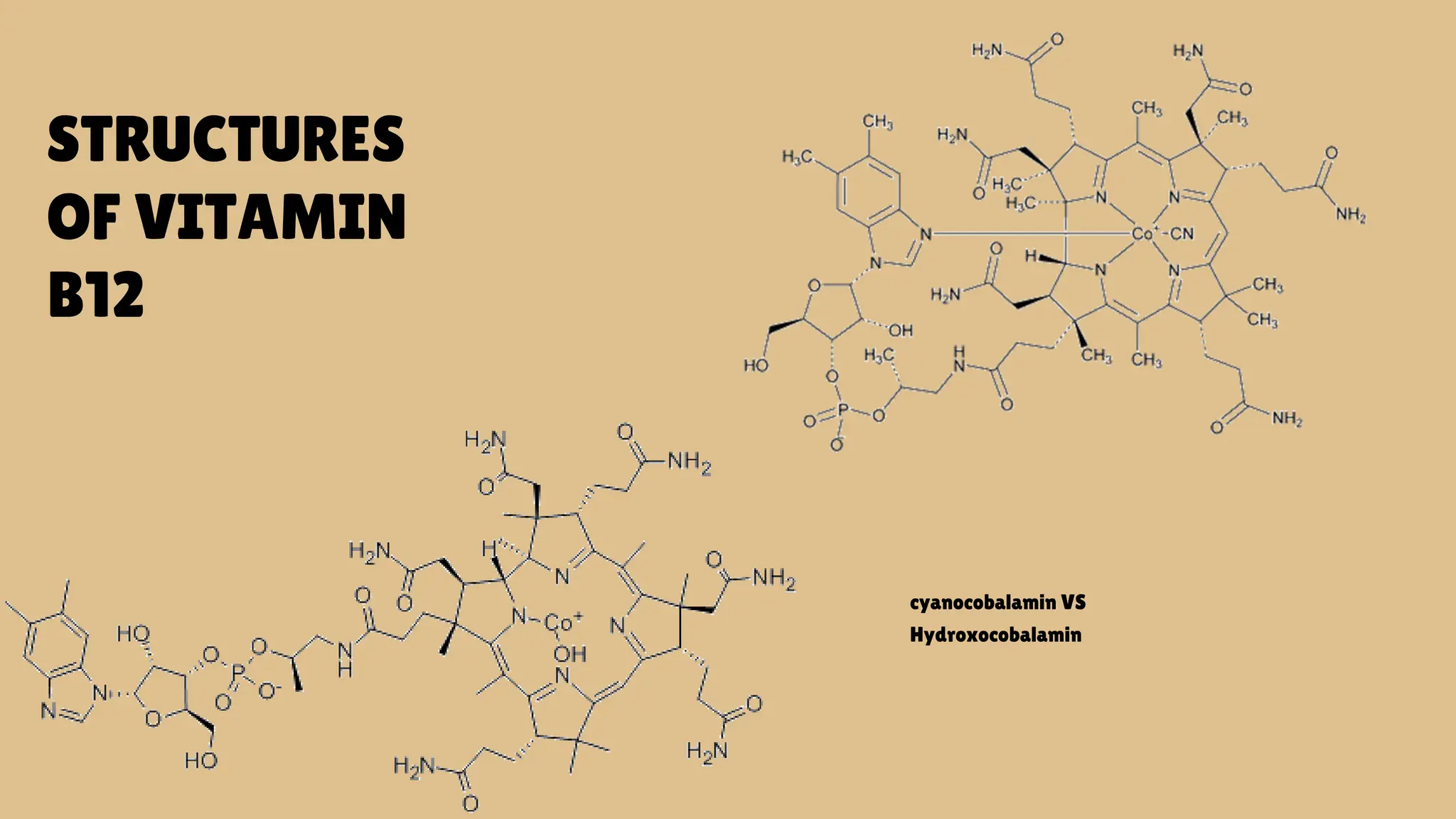 Vitamin B12 Biochemistry pptx Vitamin B12 Biochemistry pptx