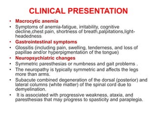 CLINICAL PRESENTATION
• Macrocytic anemia
• Symptoms of anemia-fatigue, irritability, cognitive
decline,chest pain, shortness of breath,palpitations,light-
headedness
• Gastrointestinal symptoms
• Glossitis (including pain, swelling, tenderness, and loss of
papillae and/or hyperpigmentation of the tongue)
• Neuropsychiatric changes
• Symmetric paresthesias or numbness and gait problems .
• The neuropathy is typically symmetric and affects the legs
more than arms.
• Subacute combined degeneration of the dorsal (posterior) and
lateral columns (white matter) of the spinal cord due to
demyelination.
• It is associated with progressive weakness, ataxia, and
paresthesias that may progress to spasticity and paraplegia.
 