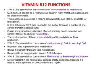 VITAMIN B12 FUNCTIONS
• 1.Vit B12 is essential for the conversion of homocysteine to methionine
• Methionine is needed as a methyl group donor in many metabolic reactions and
for protein synthesis.
• This reaction is also critical in making tetrahydrofolic acid (THFA) available for
reutilization.
• In B12 deficiency THFA gets trapped in the methyl form and a number of one
carbon transfer reactions suffer
• Purine and pyrimidine synthesis is affected primarily due to defective ‘one
carbon’ transfer because of ‘folate trap’.
• The most important of these is inavailability of thymidylate for DNA
production.
• 2.Vit B12 is essential for conversion of methylmalonyl CoA to succinyl CoA
• Important step in propionic acid metabolism.
• It links the carbohydrate and lipid metabolisms
• Responsible for demyelination seen in B12 deficiency
• 3.Vit B12 is essential for conversion of Methionine to S-adenosyl methionine
• More important in the neurological damage of B12 deficiency, because it is
needed in the synthesis of phospholipids and myelin.
 