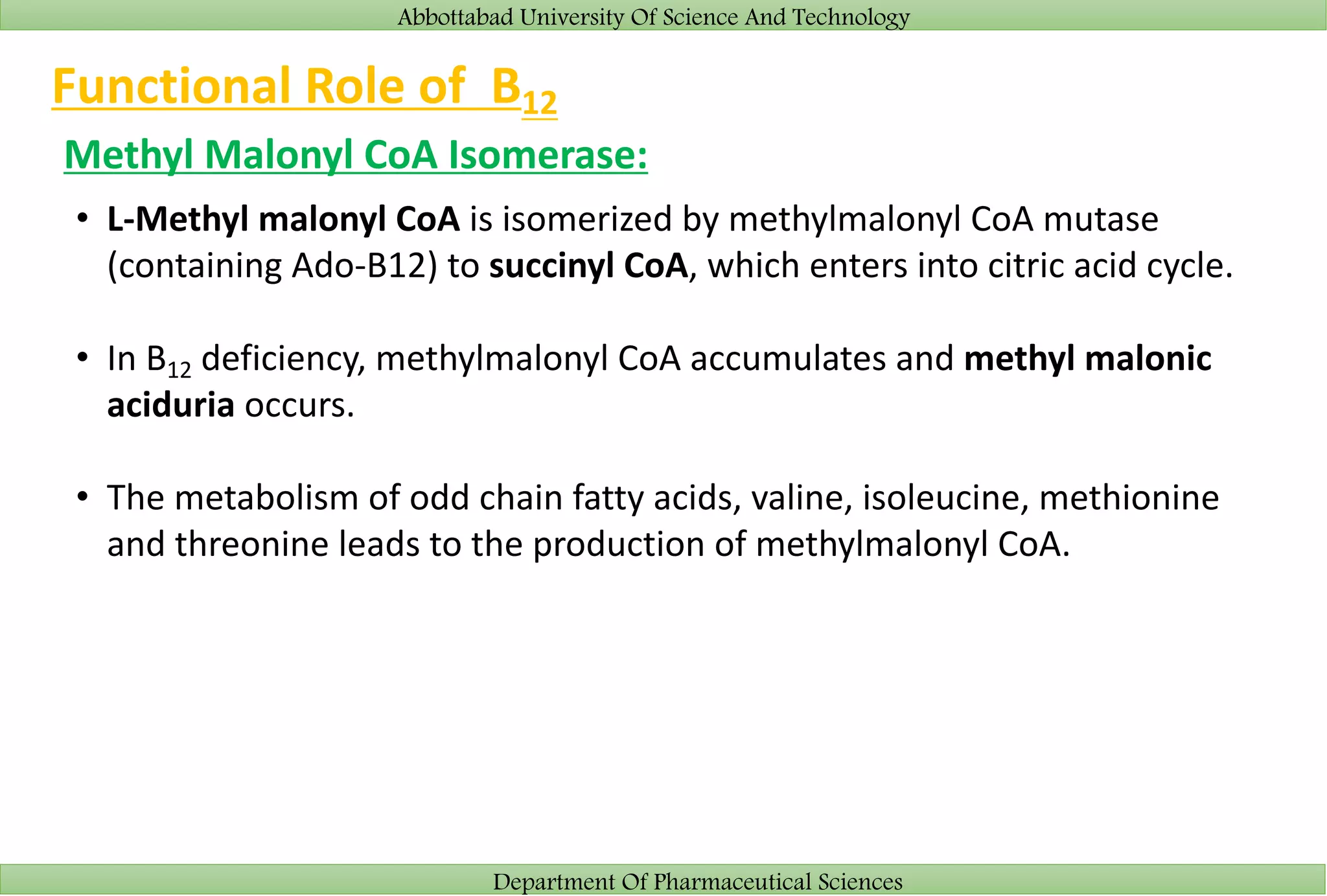 Abbottabad University Of Science And Technology
Department Of Pharmaceutical Sciences
Functional Role of B12
Methyl Malonyl CoA Isomerase:
• L-Methyl malonyl CoA is isomerized by methylmalonyl CoA mutase
(containing Ado-B12) to succinyl CoA, which enters into citric acid cycle.
• In B12 deficiency, methylmalonyl CoA accumulates and methyl malonic
aciduria occurs.
• The metabolism of odd chain fatty acids, valine, isoleucine, methionine
and threonine leads to the production of methylmalonyl CoA.
 