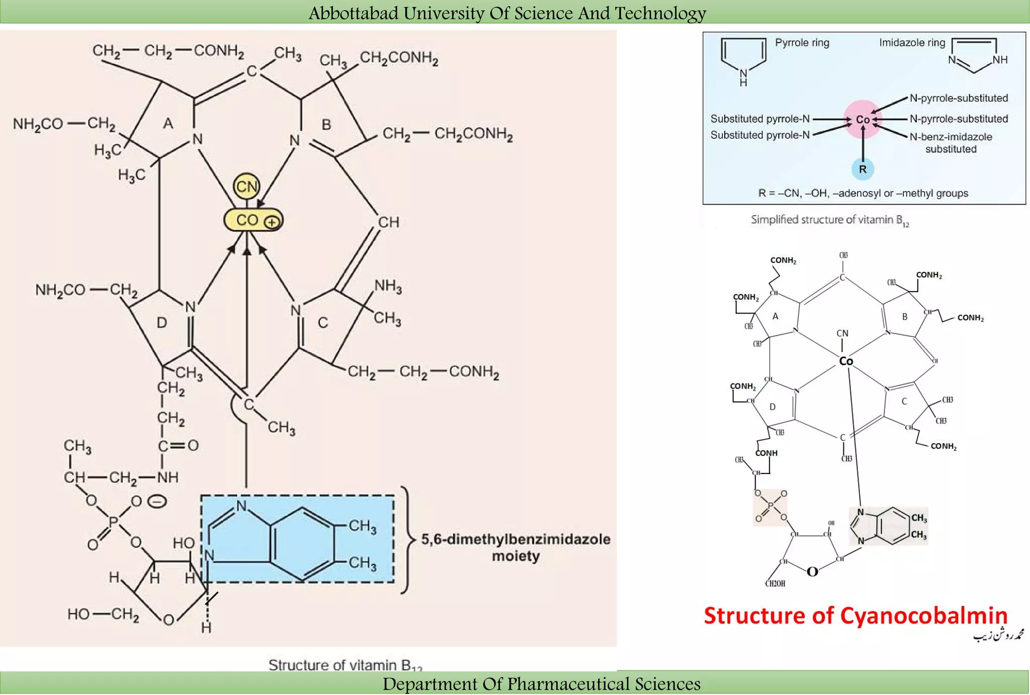 Abbottabad University Of Science And Technology
Department Of Pharmaceutical Sciences
 