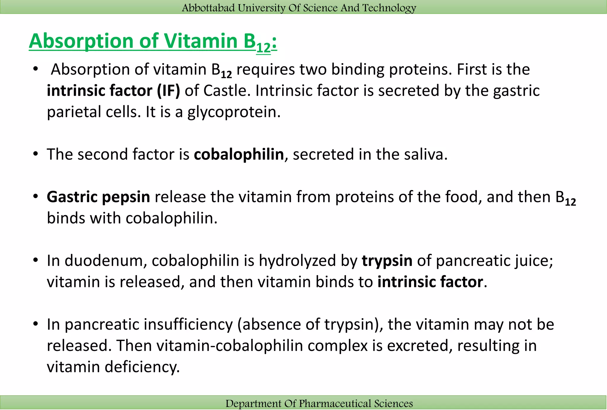 Abbottabad University Of Science And Technology
Department Of Pharmaceutical Sciences
Absorption of Vitamin B12:
• Absorption of vitamin B12 requires two binding proteins. First is the
intrinsic factor (IF) of Castle. Intrinsic factor is secreted by the gastric
parietal cells. It is a glycoprotein.
• The second factor is cobalophilin, secreted in the saliva.
• Gastric pepsin release the vitamin from proteins of the food, and then B12
binds with cobalophilin.
• In duodenum, cobalophilin is hydrolyzed by trypsin of pancreatic juice;
vitamin is released, and then vitamin binds to intrinsic factor.
• In pancreatic insufficiency (absence of trypsin), the vitamin may not be
released. Then vitamin-cobalophilin complex is excreted, resulting in
vitamin deficiency.
 