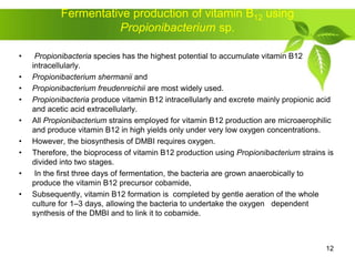 Fermentative production of vitamin B12 using
Propionibacterium sp.
• Propionibacteria species has the highest potential to accumulate vitamin B12
intracellularly.
• Propionibacterium shermanii and
• Propionibacterium freudenreichii are most widely used.
• Propionibacteria produce vitamin B12 intracellularly and excrete mainly propionic acid
and acetic acid extracellularly.
• All Propionibacterium strains employed for vitamin B12 production are microaerophilic
and produce vitamin B12 in high yields only under very low oxygen concentrations.
• However, the biosynthesis of DMBI requires oxygen.
• Therefore, the bioprocess of vitamin B12 production using Propionibacterium strains is
divided into two stages.
• In the first three days of fermentation, the bacteria are grown anaerobically to
produce the vitamin B12 precursor cobamide,
• Subsequently, vitamin B12 formation is completed by gentle aeration of the whole
culture for 1–3 days, allowing the bacteria to undertake the oxygen dependent
synthesis of the DMBI and to link it to cobamide.
12
 