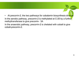 • At precorrin-2, the two pathways for cobalamin biosynthesis diverge
In the aerobic pathway, precorrin-2 is methylated at C-20 by a further
methyltransferase to give precorrin- 3A
In the anaerobic pathway, precorrin-2 is chelated with cobalt to give
cobalt-precorrin-2.
9
 