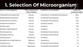 1. Selection Of Microorganism
 