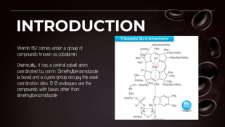INTRODUCTION
Vitamin B12 comes under a group of
compounds known as cobalamin.
Chemically, it has a central cobalt atom
coordinated by corrin. Dimethylbenzimidazole
(a base) and a cyano group occupy the axial
coordination sites. B 12 analogues are the
compounds with bases other than
dimethylbenzimidazole.
 