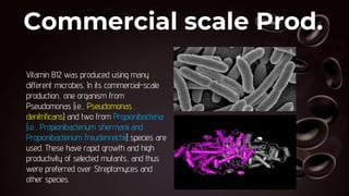 Commercial scale Prod.
Vitamin B12 was produced using many
different microbes. In its commercial-scale
production, one organism from
Pseudomonas (i.e., Pseudomonas
denitrificans) and two from Propionibacteria
(i.e., Propionibacterium shermanii and
Propionibacterium freudenreichii) species are
used. These have rapid growth and high
productivity of selected mutants, and thus
were preferred over Streptomyces and
other species.
 