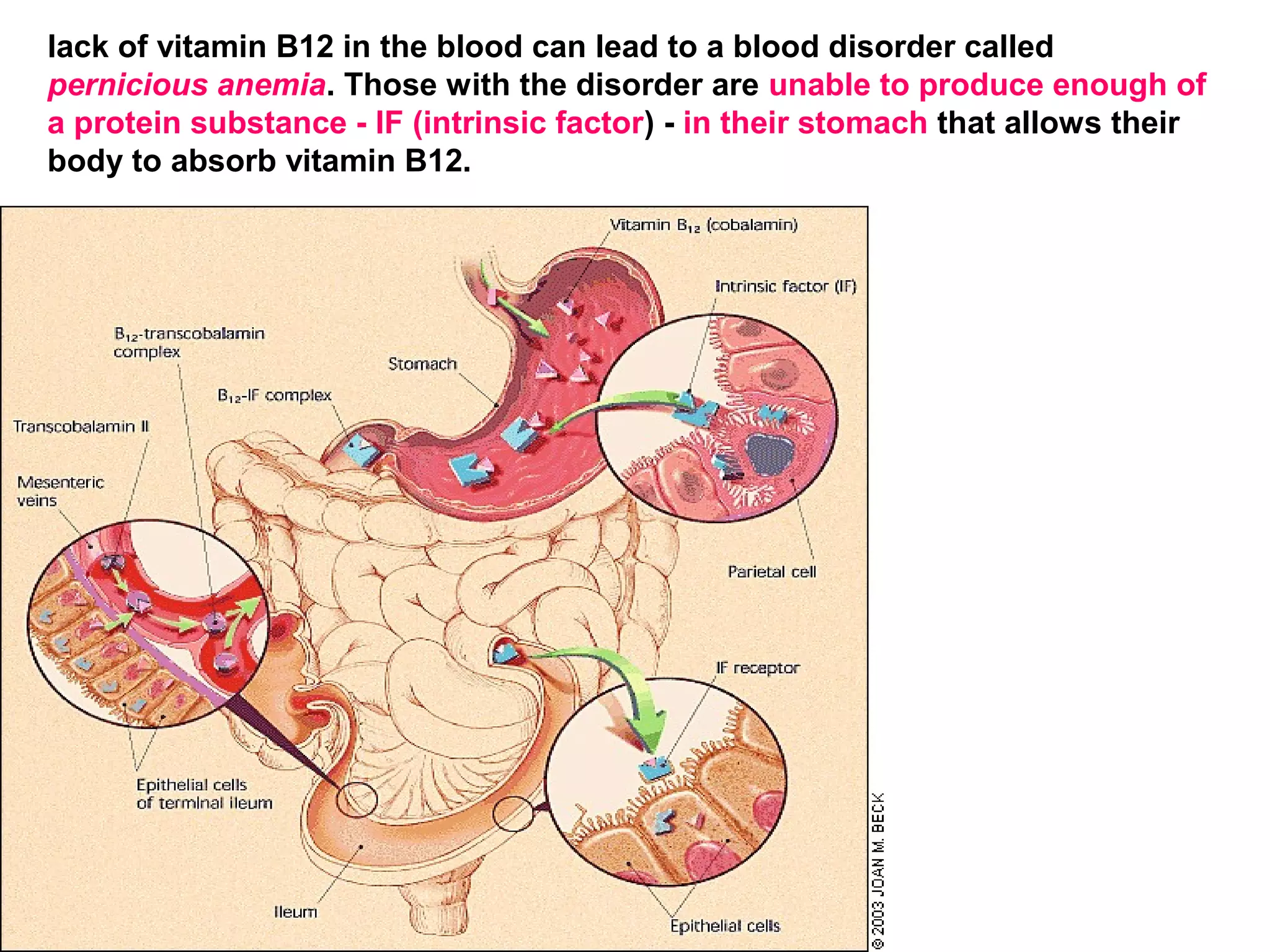 VITAMIN B12[CYNACOBALAMIN][COBALAMIN],SOURCES OFVITAMIN B12,VITAMIN B12 ...