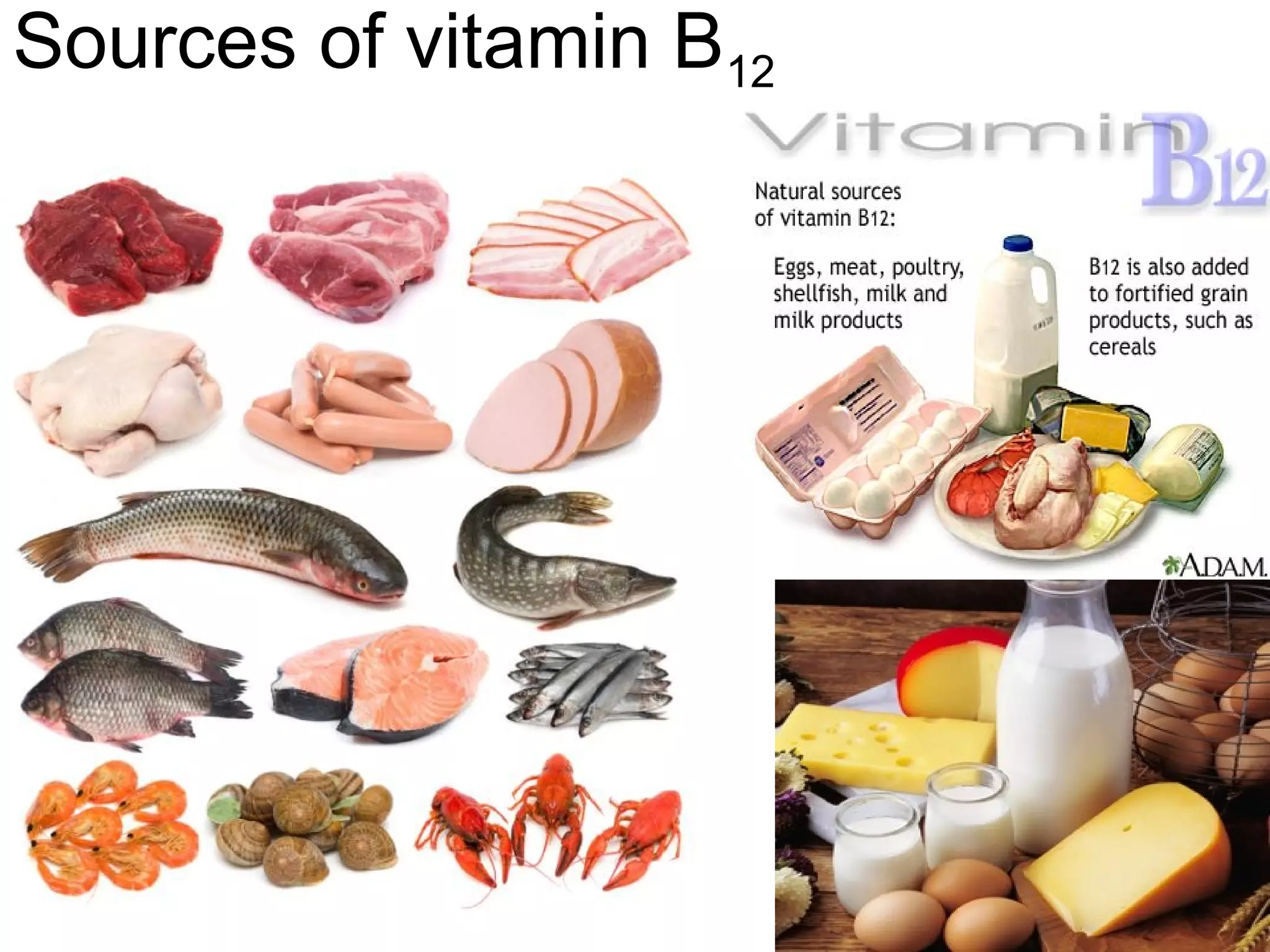 Vitamin B12