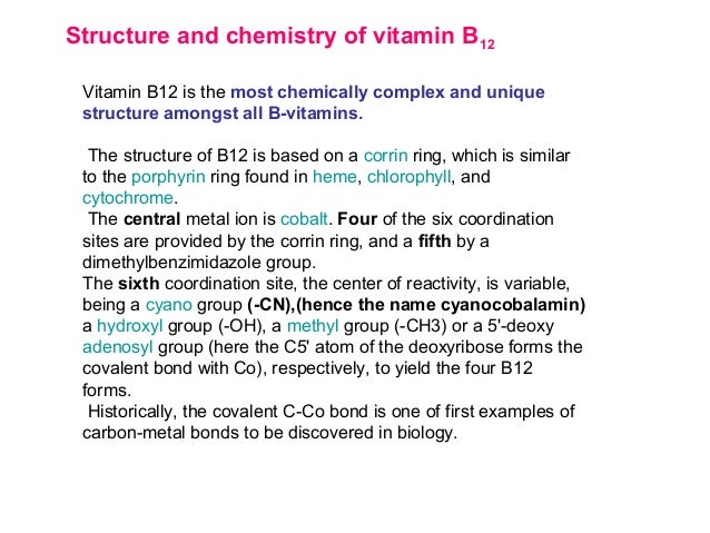 Why is vitamin B12 important?