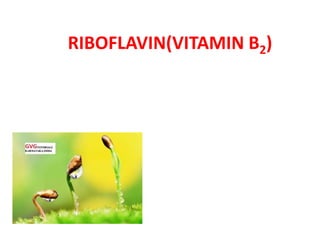 RIBOFLAVIN(VITAMIN B2)
 