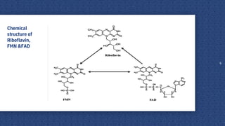 Chemical
structure of
Riboflavin,
FMN &FAD
6
 