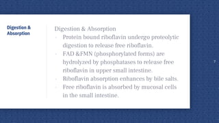Digestion &
Absorption
Digestion & Absorption
• Protein bound riboflavin undergo proteolytic
digestion to release free riboflavin.
• FAD &FMN (phosphorylated forms) are
hydrolyzed by phosphatases to release free
riboflavin in upper small intestine.
• Riboflavin absorption enhances by bile salts.
• Free riboflavin is absorbed by mucosal cells
in the small intestine.
7
 