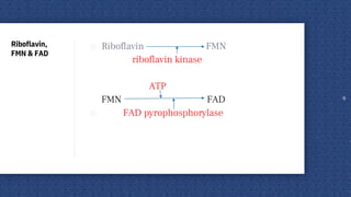 Riboflavin,
FMN & FAD
◎ Riboflavin FMN
riboflavin kinase
ATP
FMN FAD
◎ FAD pyrophosphorylase
9
 