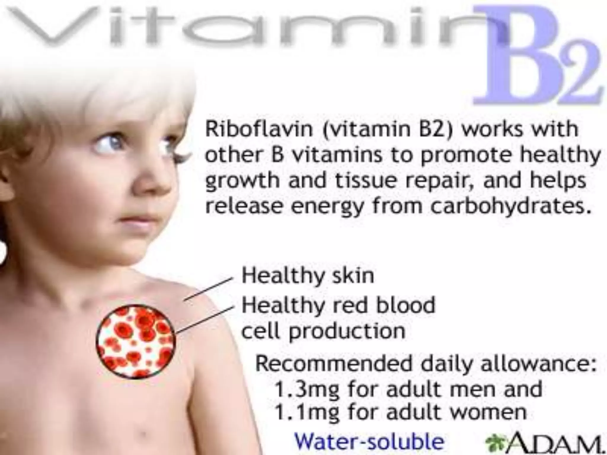Vitamin b2 PPT