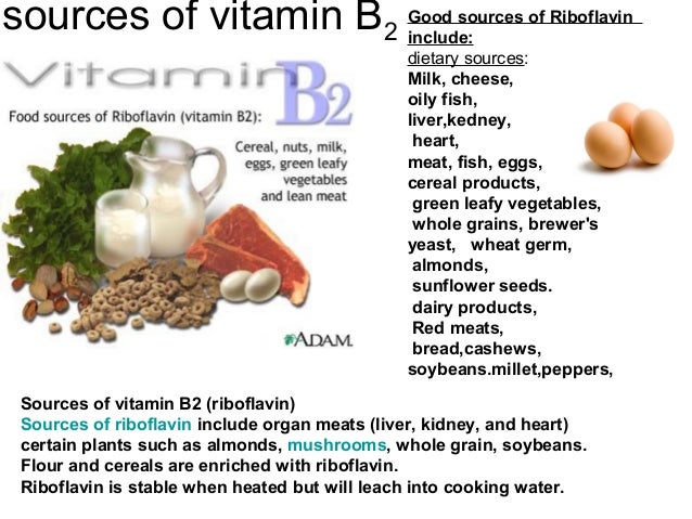 High Vitamin B Foods High Vitamin B Foods