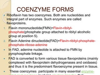 COENZYME FORMS
 Riboflavin has two coenzymes. Both are nucleotides and
integral part of enzymes. Such enzymes are called
flavoproteins.
1. Flavin mononucleotide(FMN)=Flavin-ribityl-
phosphate(phosphate group attached to ribityl alcoholic
group at position 5).
2. Flavin Adenine dinucleotide(FAD)=Flavin-ribityl-phosphate-
phosphate-ribose-adenine
 In FAD, adenine nucleotide is attached to FMN by
pyrophosphate linkage.
 FAD is converted to form various tissue flavoproteins (mainly
complexed with flavoprotein dehydrogenases and oxidases)
and thus it is the predominant flavoenzyme present in tissue.
 These coenzymes participate in many essential enzyme-
 