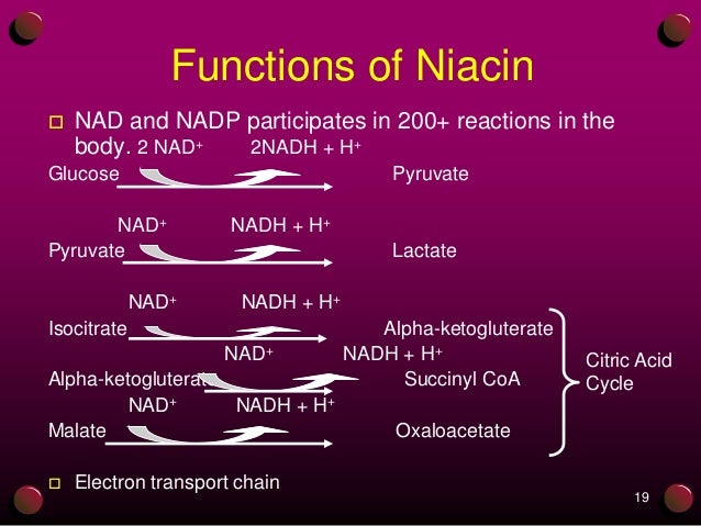 Vitamin B3 Niacin