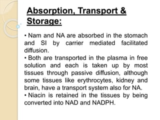 Absorption, Transport &
Storage:
• Nam and NA are absorbed in the stomach
and SI by carrier mediated facilitated
diffusion.
• Both are transported in the plasma in free
solution and each is taken up by most
tissues through passive diffusion, although
some tissues like erythrocytes, kidney and
brain, have a transport system also for NA.
• Niacin is retained in the tissues by being
converted into NAD and NADPH.
 