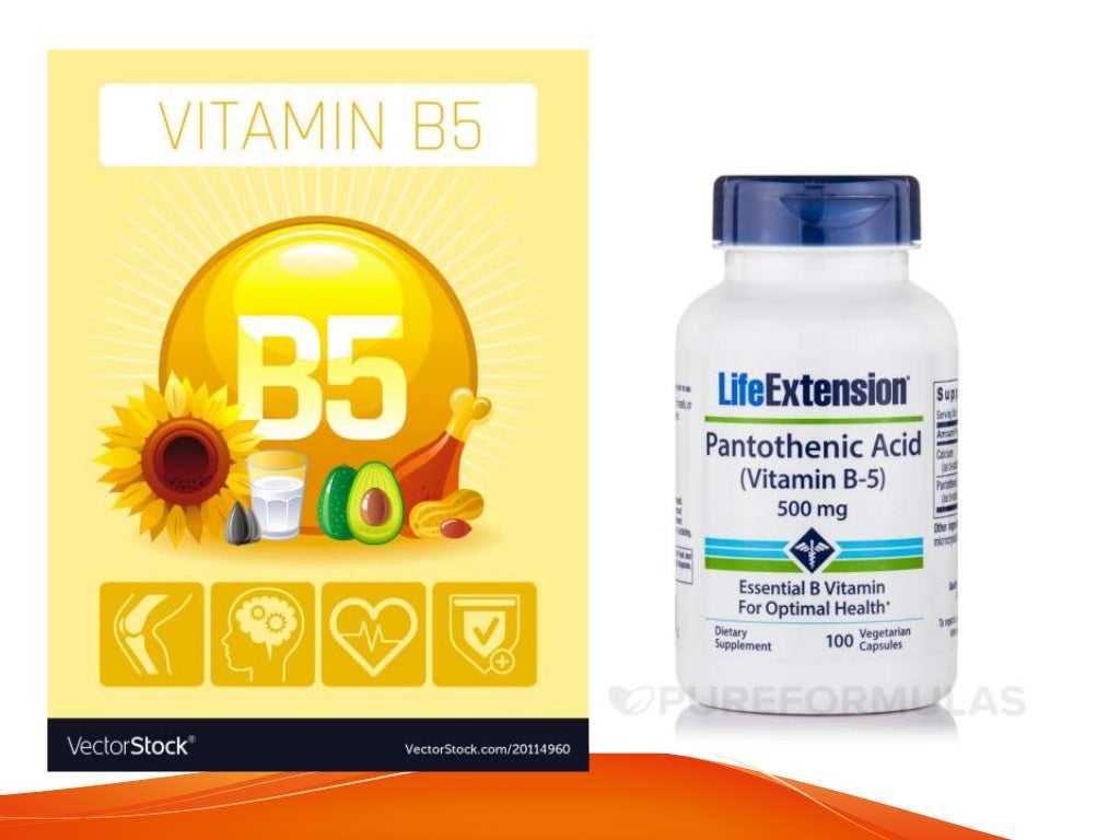 module 4 Basic NUTRI Vitamin b5, b6, b8, b12