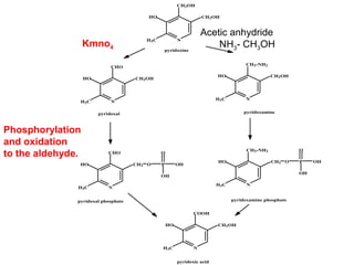 N
HO
H3C
CH2OH
CH2OH
pyridoxine
N
HO
H3C
CH2OH
CHO
N
HO
H3C
CH2OH
CH2-NH2
pyridoxal pyridoxamine
N
HO
H3C
CHO
CH2 O P
O
OH
OH
N
HO
H3C
CH2-NH2
CH2 O P
O
OH
OH
pyridoxal phosphate pyridoxamine phosphate
N
HO
H3C
CH2OH
COOH
pyridoxic acid
Acetic anhydride
NH3- CH3OHKmno4
Phosphorylation
and oxidation
to the aldehyde.
 