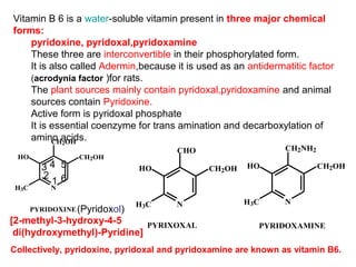 Vitamin B 6 is a water-soluble vitamin present in three major chemical
forms:
pyridoxine, pyridoxal,pyridoxamine
These three are interconvertible in their phosphorylated form.
It is also called Adermin,because it is used as an antidermatitic factor
(acrodynia factor )for rats.
The plant sources mainly contain pyridoxal,pyridoxamine and animal
sources contain Pyridoxine.
Active form is pyridoxal phosphate
It is essential coenzyme for trans amination and decarboxylation of
amino acids.
N
CH2OH
CH2OHHO
H3C
PYRIDOXINE
N
CHO
CH2OHHO
H3C N
CH2NH2
CH2OHHO
H3C
PYRIDOXAMINEPYRIXOXAL
Collectively, pyridoxine, pyridoxal and pyridoxamine are known as vitamin B6.
(Pyridoxol)
[2-methyl-3-hydroxy-4-5
di(hydroxymethyl)-Pyridine]
1
2
3 4 5
6
 