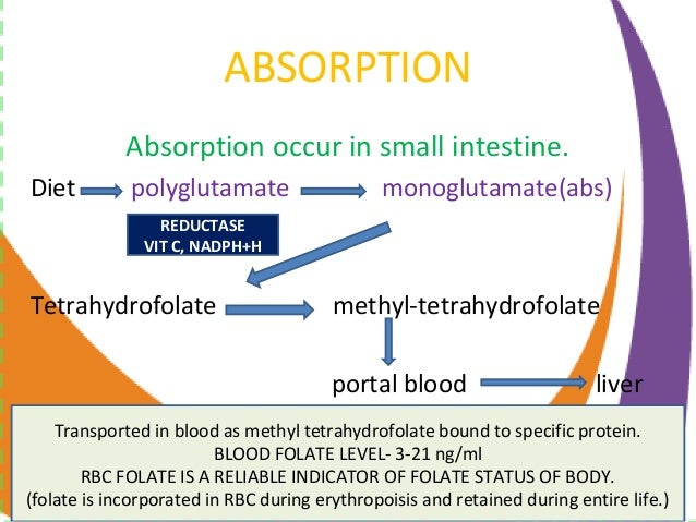 Vitamin B7 Biotin And Vitamin B 9 Folate Final