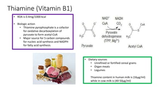 Thiamine (Vitamin B1)
• RDA is 0.4mg/1000 kcal
• Biologic action
• Thiamine pyrophosphate is a cofactor
for oxidative deca...