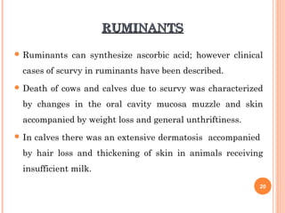 RUMINANTSRUMINANTS
 Ruminants can synthesize ascorbic acid; however clinical
cases of scurvy in ruminants have been described.
 Death of cows and calves due to scurvy was characterized
by changes in the oral cavity mucosa muzzle and skin
accompanied by weight loss and general unthriftiness.
 In calves there was an extensive dermatosis accompanied
by hair loss and thickening of skin in animals receiving
insufficient milk.
20
 