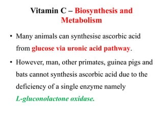 Vitamin C – Biosynthesis and
Metabolism
• Many animals can synthesise ascorbic acid
from glucose via uronic acid pathway.
• However, man, other primates, guinea pigs and
bats cannot synthesis ascorbic acid due to the
deficiency of a single enzyme namely
L-gluconolactone oxidase.
 