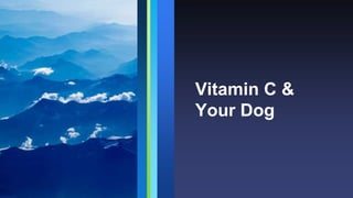 Vitamin C &
Your Dog
 
