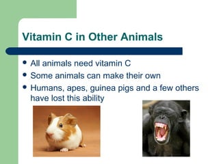 Vitamin C in Other Animals
 All

animals need vitamin C
 Some animals can make their own
 Humans, apes, guinea pigs and a few others
have lost this ability

 