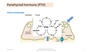 Parathyroid hormone (PTH)
08-07-2016
Department of Pharmacology
MIMER Medical College Talegaon Dhabade
19
Calcium sensing organ
 
