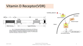 Vitamin D Receptor(VDR)
08-07-2016
Department of Pharmacology
MIMER Medical College Talegaon Dhabade
3
 