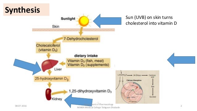 Vitamin D