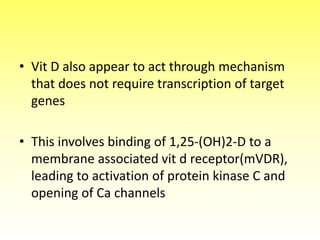 • Vit D also appear to act through mechanism
that does not require transcription of target
genes
• This involves binding of 1,25-(OH)2-D to a
membrane associated vit d receptor(mVDR),
leading to activation of protein kinase C and
opening of Ca channels
 