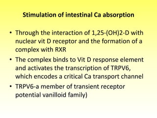 Stimulation of intestinal Ca absorption
• Through the interaction of 1,25-(OH)2-D with
nuclear vit D receptor and the formation of a
complex with RXR
• The complex binds to Vit D response element
and activates the transcription of TRPV6,
which encodes a critical Ca transport channel
• TRPV6-a member of transient receptor
potential vanilloid family)
 
