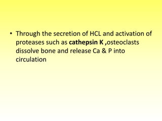 • Through the secretion of HCL and activation of
proteases such as cathepsin K ,osteoclasts
dissolve bone and release Ca & P into
circulation
 