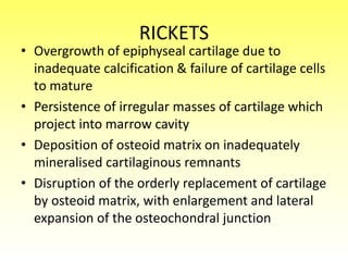 RICKETS
• Overgrowth of epiphyseal cartilage due to
inadequate calcification & failure of cartilage cells
to mature
• Persistence of irregular masses of cartilage which
project into marrow cavity
• Deposition of osteoid matrix on inadequately
mineralised cartilaginous remnants
• Disruption of the orderly replacement of cartilage
by osteoid matrix, with enlargement and lateral
expansion of the osteochondral junction
 