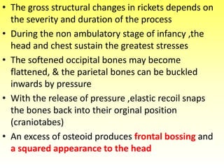 • The gross structural changes in rickets depends on
the severity and duration of the process
• During the non ambulatory stage of infancy ,the
head and chest sustain the greatest stresses
• The softened occipital bones may become
flattened, & the parietal bones can be buckled
inwards by pressure
• With the release of pressure ,elastic recoil snaps
the bones back into their orginal position
(craniotabes)
• An excess of osteoid produces frontal bossing and
a squared appearance to the head
 