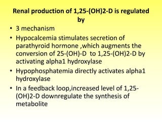 Renal production of 1,25-(OH)2-D is regulated
by
• 3 mechanism
• Hypocalcemia stimulates secretion of
parathyroid hormone ,which augments the
conversion of 25-(OH)-D to 1,25-(OH)2-D by
activating alpha1 hydroxylase
• Hypophosphatemia directly activates alpha1
hydroxylase
• In a feedback loop,increased level of 1,25-
(OH)2-D downregulate the synthesis of
metabolite
 
